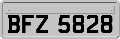 BFZ5828