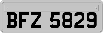 BFZ5829