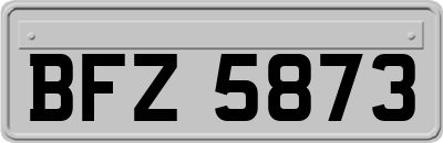 BFZ5873