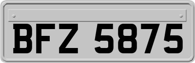 BFZ5875