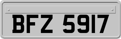 BFZ5917