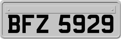 BFZ5929