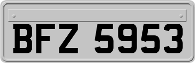 BFZ5953