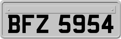 BFZ5954