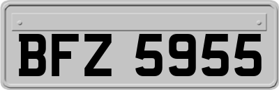 BFZ5955