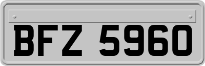 BFZ5960