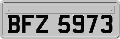 BFZ5973