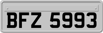 BFZ5993
