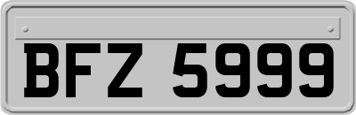 BFZ5999