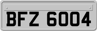 BFZ6004