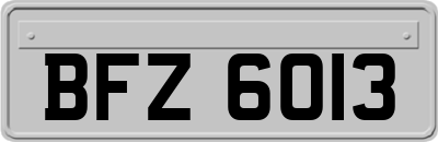 BFZ6013