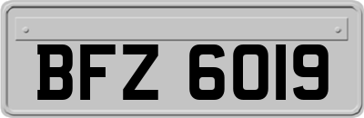 BFZ6019