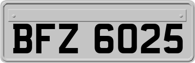 BFZ6025