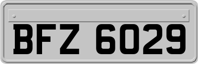 BFZ6029
