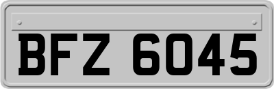 BFZ6045