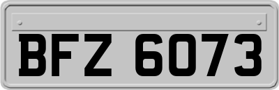 BFZ6073