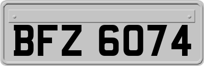 BFZ6074