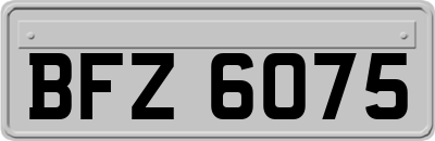 BFZ6075
