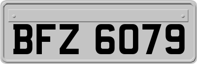 BFZ6079