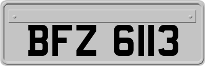 BFZ6113