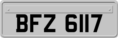 BFZ6117