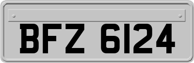 BFZ6124