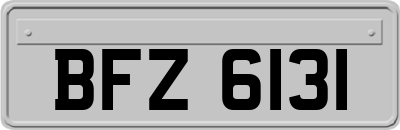 BFZ6131