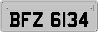 BFZ6134