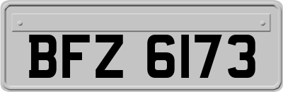 BFZ6173