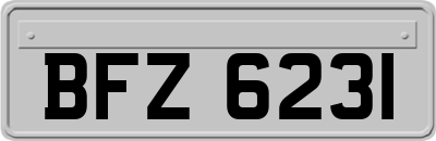 BFZ6231