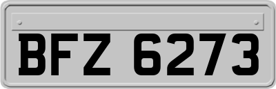 BFZ6273