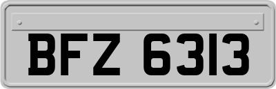 BFZ6313