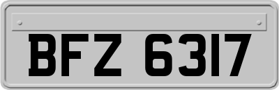 BFZ6317