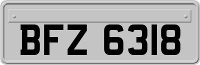BFZ6318