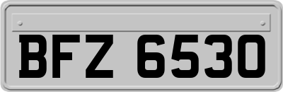 BFZ6530