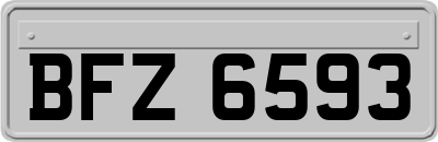 BFZ6593