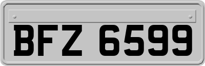 BFZ6599