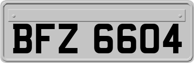 BFZ6604