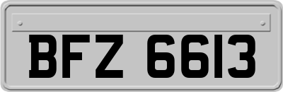 BFZ6613
