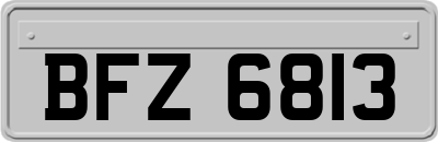 BFZ6813