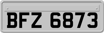 BFZ6873