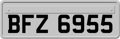 BFZ6955