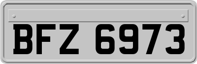 BFZ6973