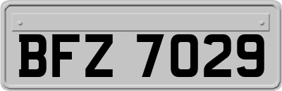 BFZ7029