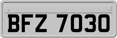 BFZ7030