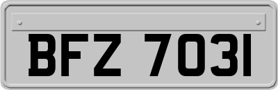 BFZ7031