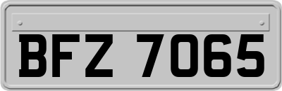 BFZ7065