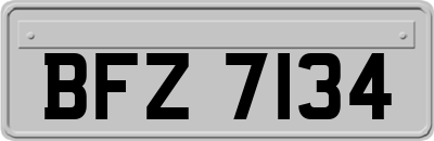 BFZ7134
