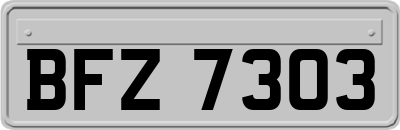 BFZ7303