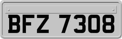 BFZ7308